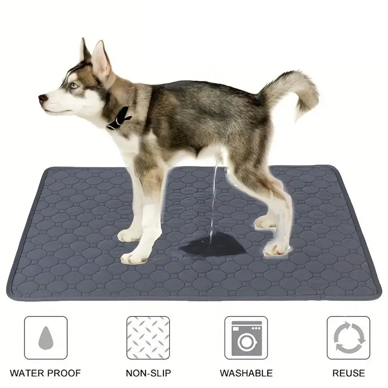 T&G - Washable, Reusable, Pet urine pad.