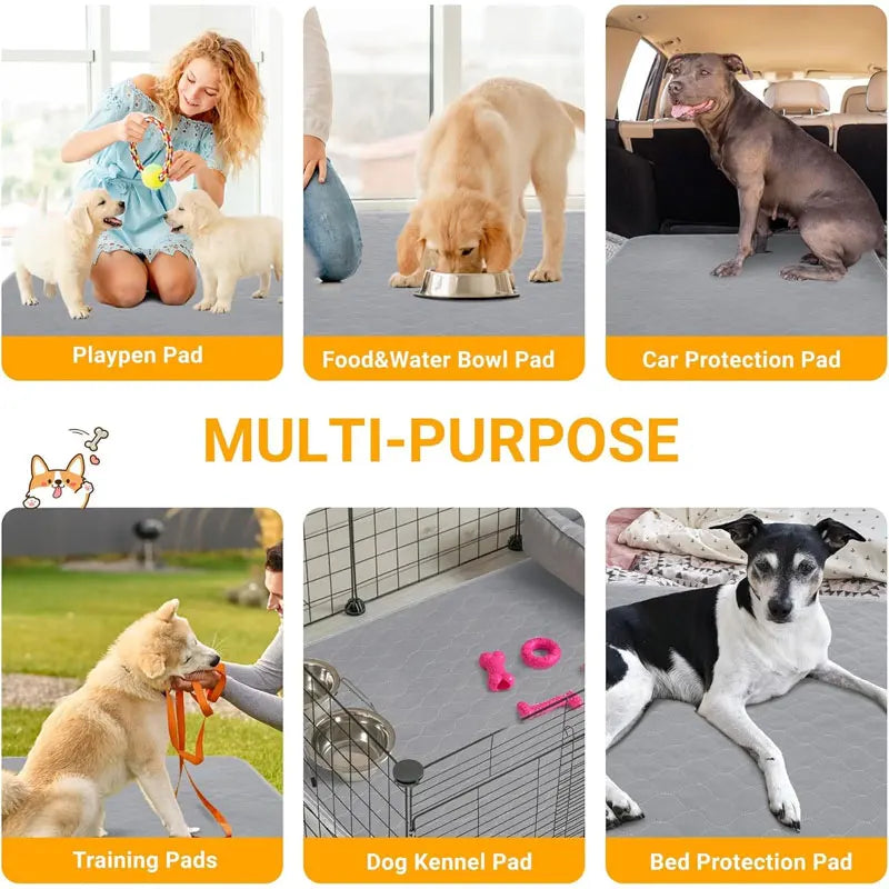 T&G - Washable, Reusable, Pet urine pad.