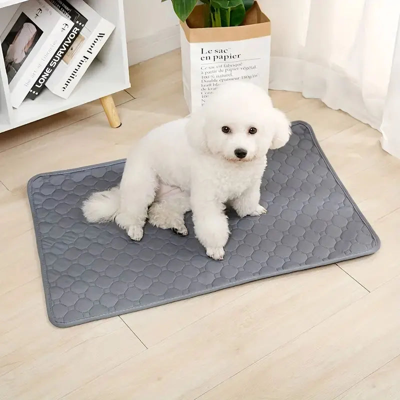 T&G - Washable, Reusable, Pet urine pad.