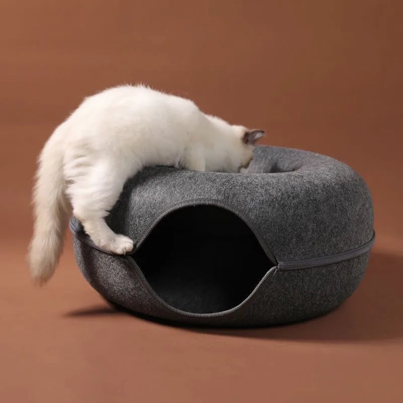 T&G - Cat Donut Tunnel