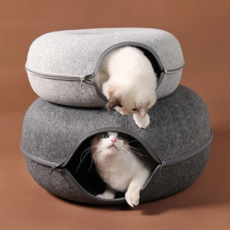 T&G - Cat Donut Tunnel