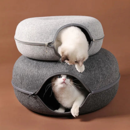 T&G - Cat Donut Tunnel