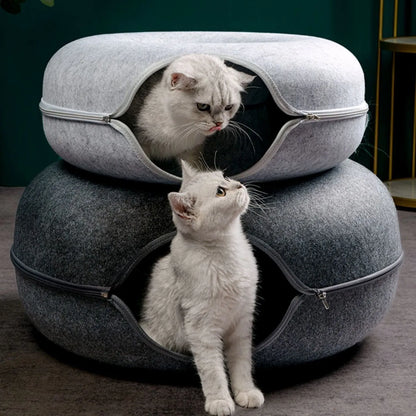 T&G - Cat Donut Tunnel