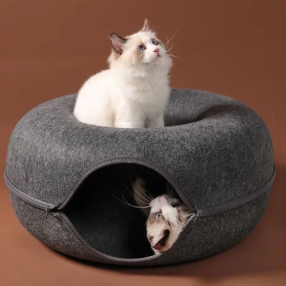 T&G - Cat Donut Tunnel