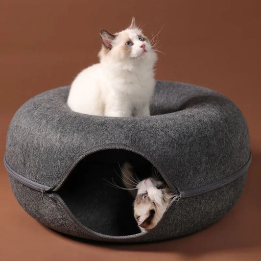 T&G - Cat Donut Tunnel