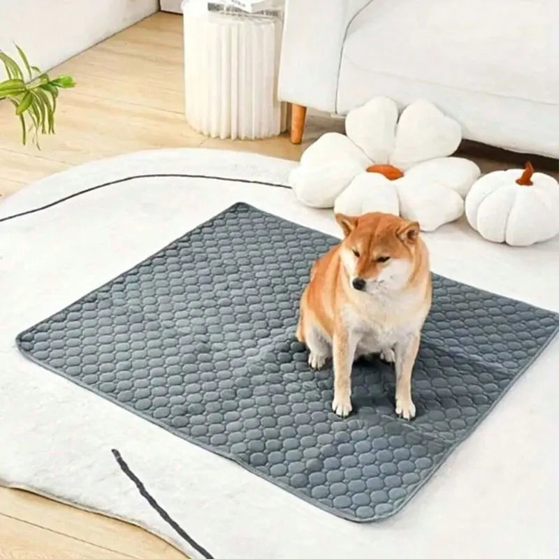 T&G - Washable, Reusable, Pet urine pad.