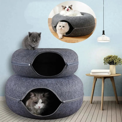 T&G - Cat Donut Tunnel