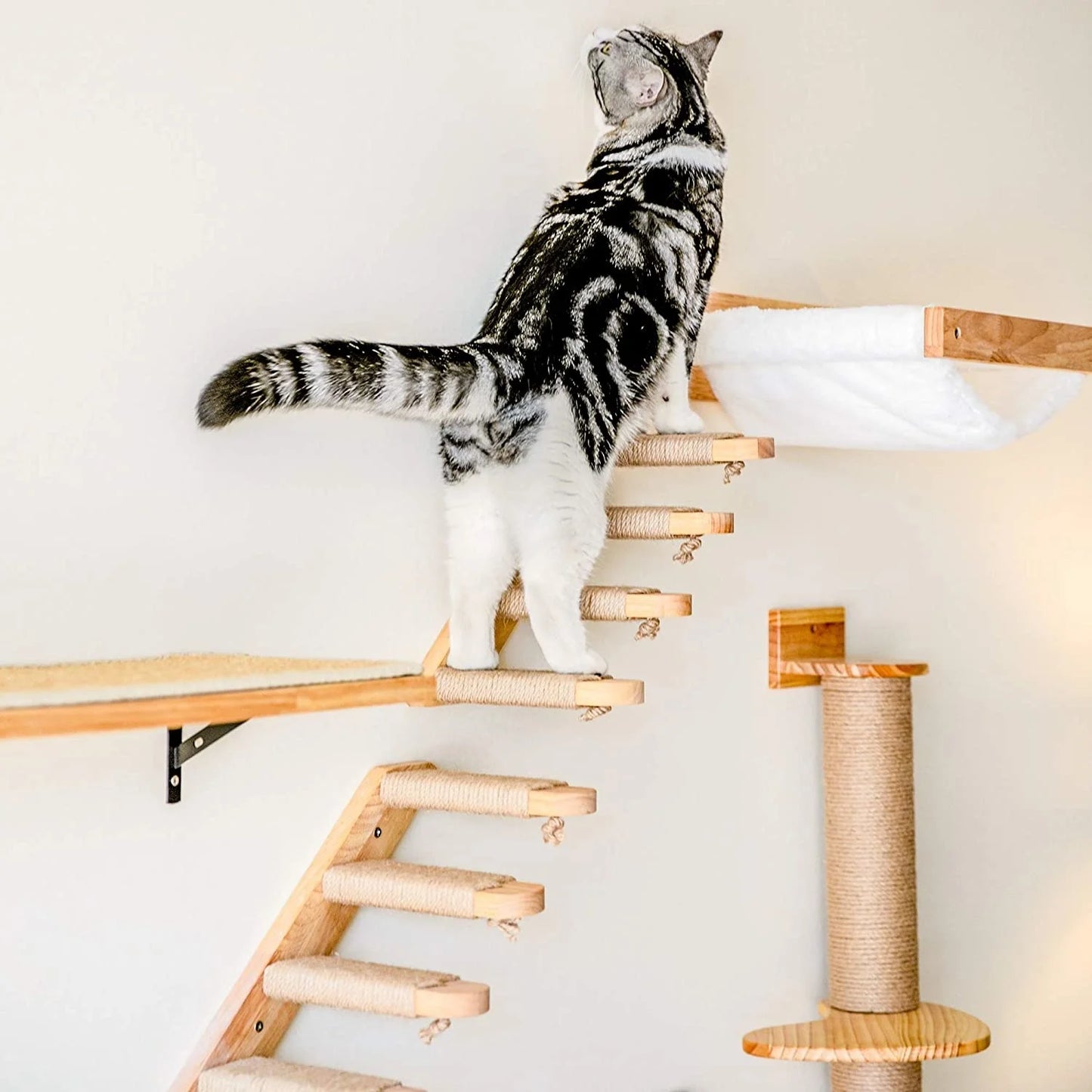 T&G Wall-Mounted Cat Scratching & Climbing Furniture