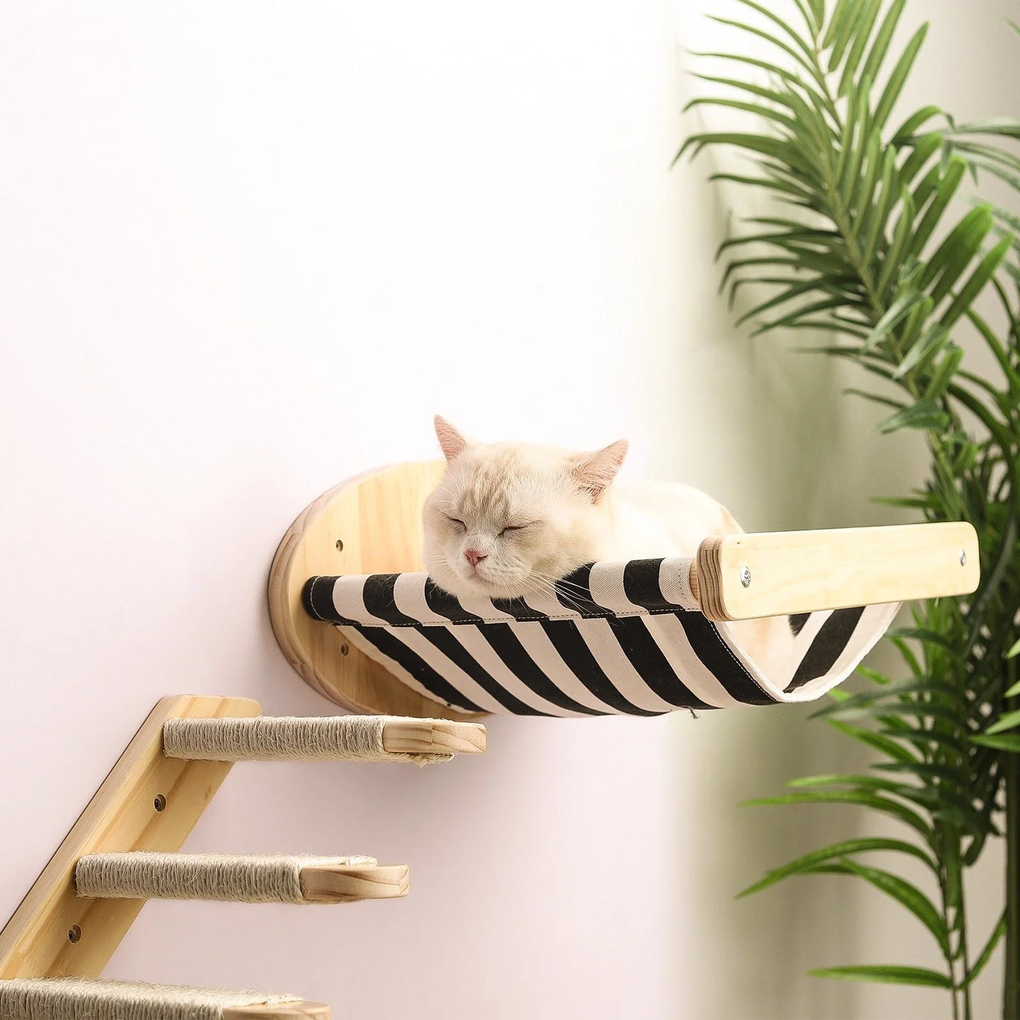 T&G Wall-Mounted Cat Scratching & Climbing Furniture
